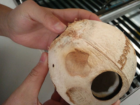 CO2 用于椰子殼雕刻和切割的激光切割機(jī) CO2 用于椰子殼雕刻和切割的激光切割機(jī)