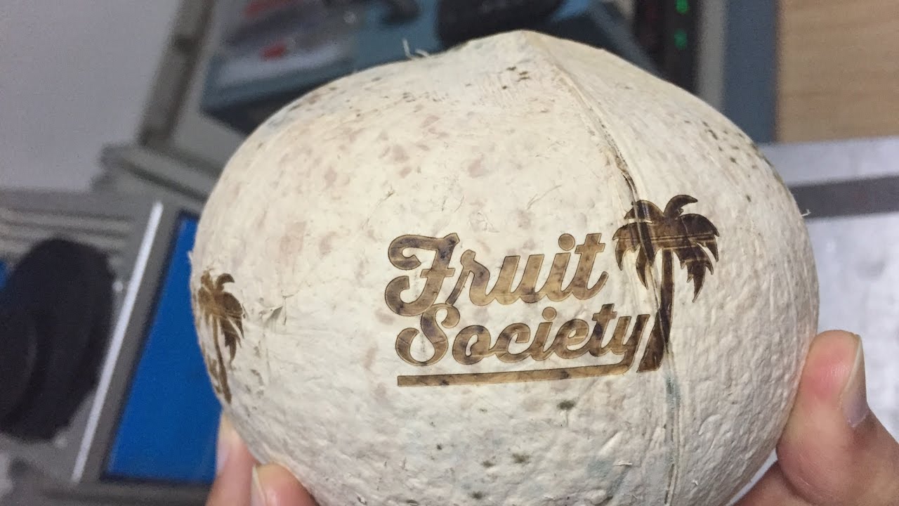 STYLECNC 泰國椰子激光雕刻機