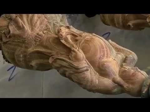 2025年最佳多頭數(shù)控雕刻機(帶多主軸) 2025年最佳多頭數(shù)控雕刻機(帶多主軸)